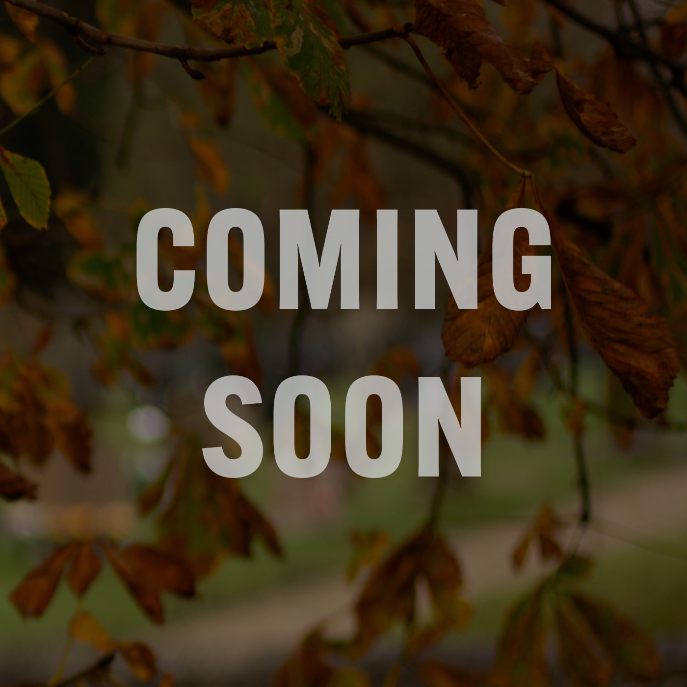 Coming Soon